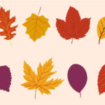 Fall Leaves Printables Free   Printable Party Favors Intended For Printable Fall Leaves Decorations