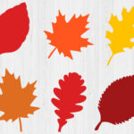 Fall Leaves Svg Bundle, Printable, Fall Svg, Thanksgiving Svg Intended For Printable Fall Leaves Images