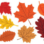 Fall Leaves Svg, Fall Svg, Fall Leaf Svg Bundle, Fall Png, Dxf For Large Printable Fall Leaves