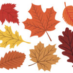 Fall Leaves Svg, Fall Svg, Fall Leaf Svg Bundle, Fall Png, Dxf For Printable Fall Leaves Clipart