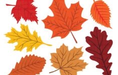Fall Leaves Svg, Fall Svg, Fall Leaf Svg Bundle, Fall Png, Dxf with Big Fall Leaves Printable