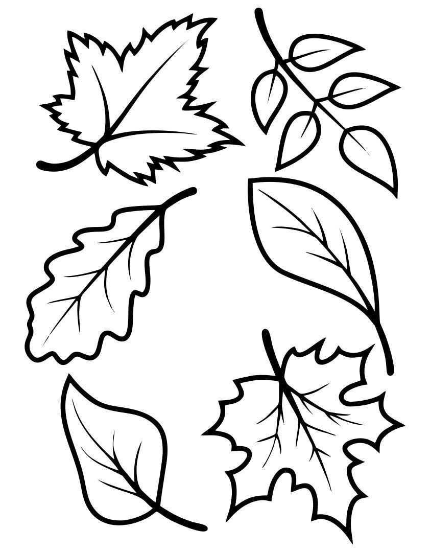 Fall Leaves Templates - 10 Free Pdf Printables | Printablee in Printable Fall Leaves Template