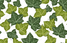 Floral Pattern Stylized Ivy Leaves On Stock Vector (Royalty Free regarding Printable Ivy Leaf Template