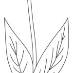 Flower Stems   12 Free Pdf Printables | Printablee Regarding Printable Flower Stem And Leaf Template