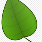 Free Clip Art Green Leaf   Green Leaf Template Printable, Hd Png With Green Leaf Template Printable