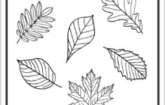 Free Fall Coloring Pages - Download 13 Fun Printables (Pdf) with Free Printable Fall Leaves Coloring Pages