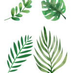 Free Green Leaf Printable Templets Inside Green Leaf Template Printable