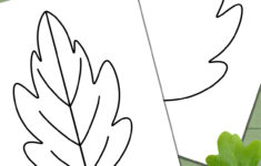 Free Leaf Templates &amp; Outlines: Tons Of Printables!! in Oak Leaf Template Printable