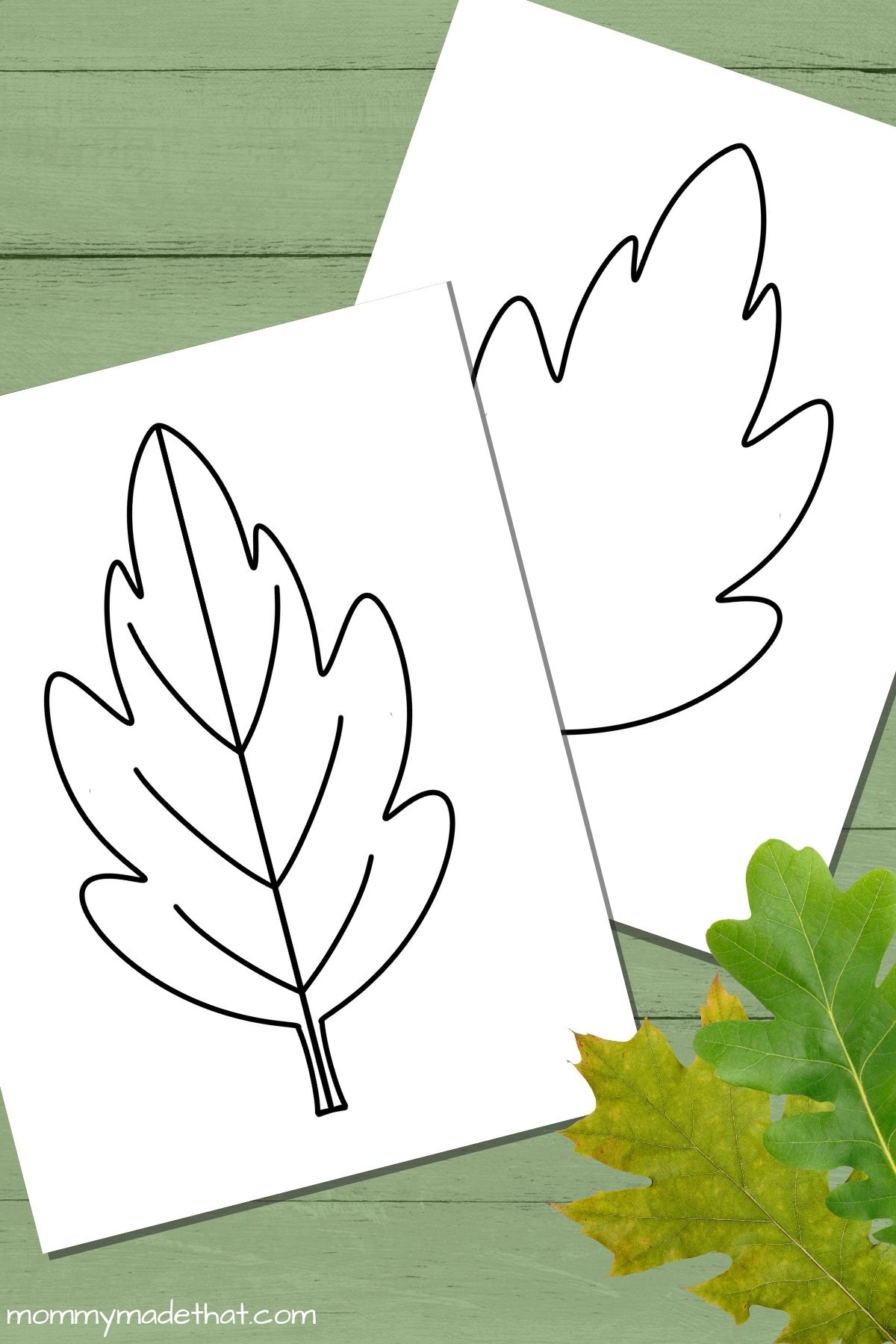 Free Leaf Templates & Outlines: Tons Of Printables!! in Oak Leaf Template Printable