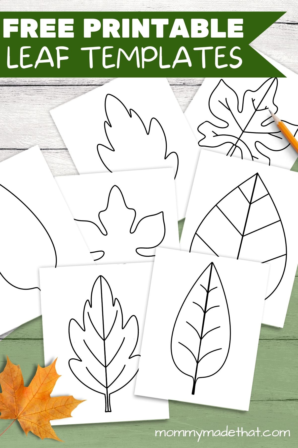 Free Leaf Templates & Outlines: Tons Of Printables!! within Leaf Templates Free Printable