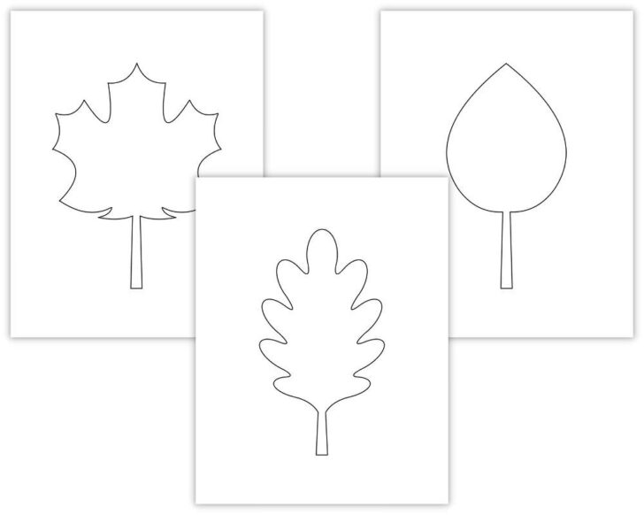 Apple Leaf Template Printable