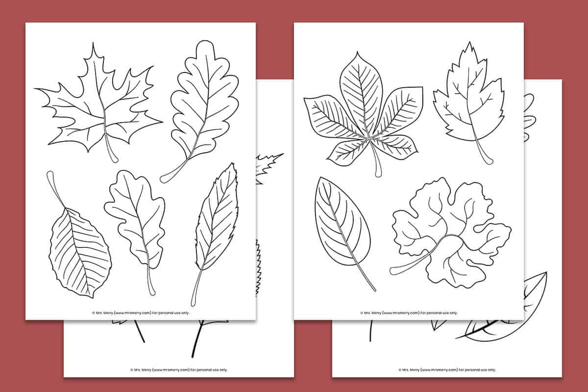 Free Printable Fall Leaves Coloring Pages | Mrs. Merry throughout Free Printable Fall Leaves Coloring Pages