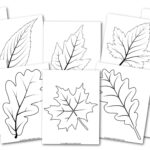 Free Printable Large Leaf Templates, Stencils And Patterns Inside Large Leaf Template Printable Free