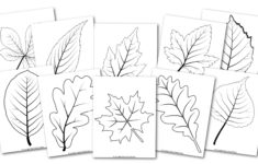 Free Printable Large Leaf Templates, Stencils And Patterns inside Large Leaf Template Printable Free