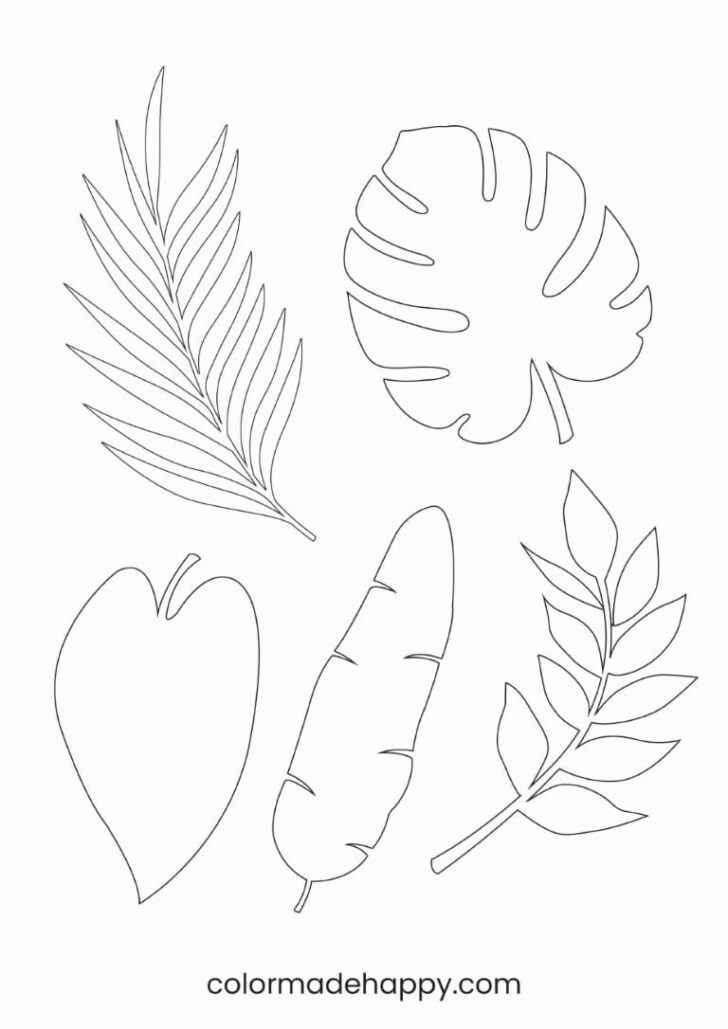 Monstera Leaf Template Printable
