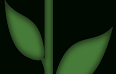 Free Printable Stem And Leaves, Download Free Printable Stem And with Printable Flower Stem And Leaf Template