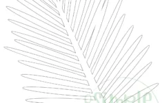 Free Printable Tropical Leaf Stencil Template - Simple Mom Project inside Cut Out Palm Leaf Template Printable