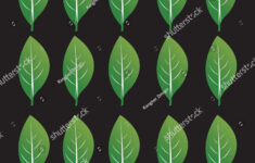 Green Leaf Template Vector Stock Stock Vector (Royalty Free in Printable Green Leaf Template