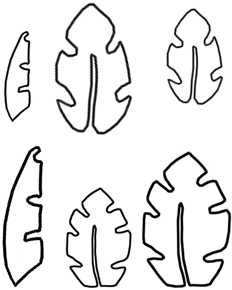 Hawaiian Leaf Template - Clip Art Library - Worksheets Library throughout Hawaiian Leaf Template Printable