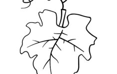 How To Draw A Pumpkin Leaf intended for Pumpkin Leaf Template Free Printable