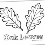 Leaf Coloring Pages   Nature Inspired Learning For Oak Leaf Printable Template