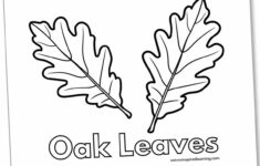 Leaf Coloring Pages - Nature Inspired Learning for Oak Leaf Printable Template