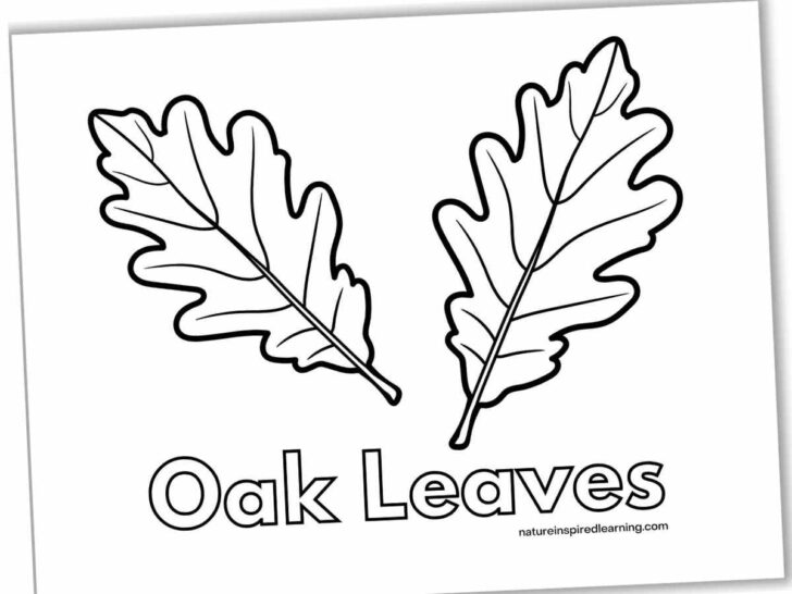 Oak Leaf Printable Template