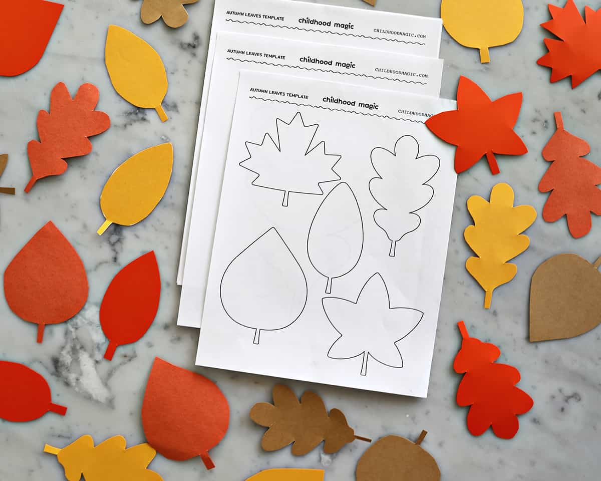 Leaf Outline - Childhood Magic within Autumn Leaf Template Free Printables