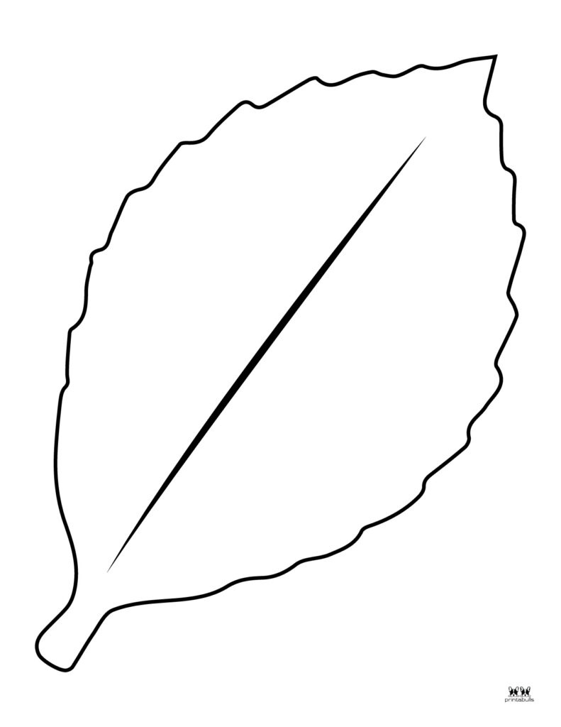 Leaf Outlines, Templates &amp;amp; Coloring Pages - 55 Free Pages with Printable Sunflower Leaf Template