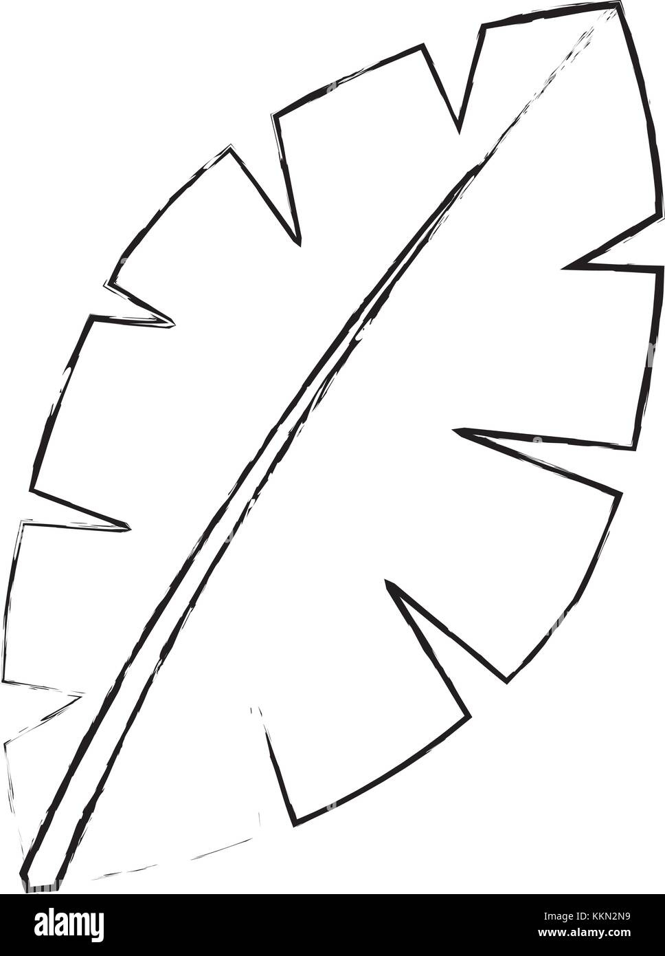 Leaf Palm Tree Foliage Natural Image Stock Vector Image & Art - Alamy with Printable Palm Tree Leaf Template