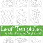 Leaf Template | Free Printable Leaf Outlines For Kids Pertaining To Printable Free Paper Leaf Template