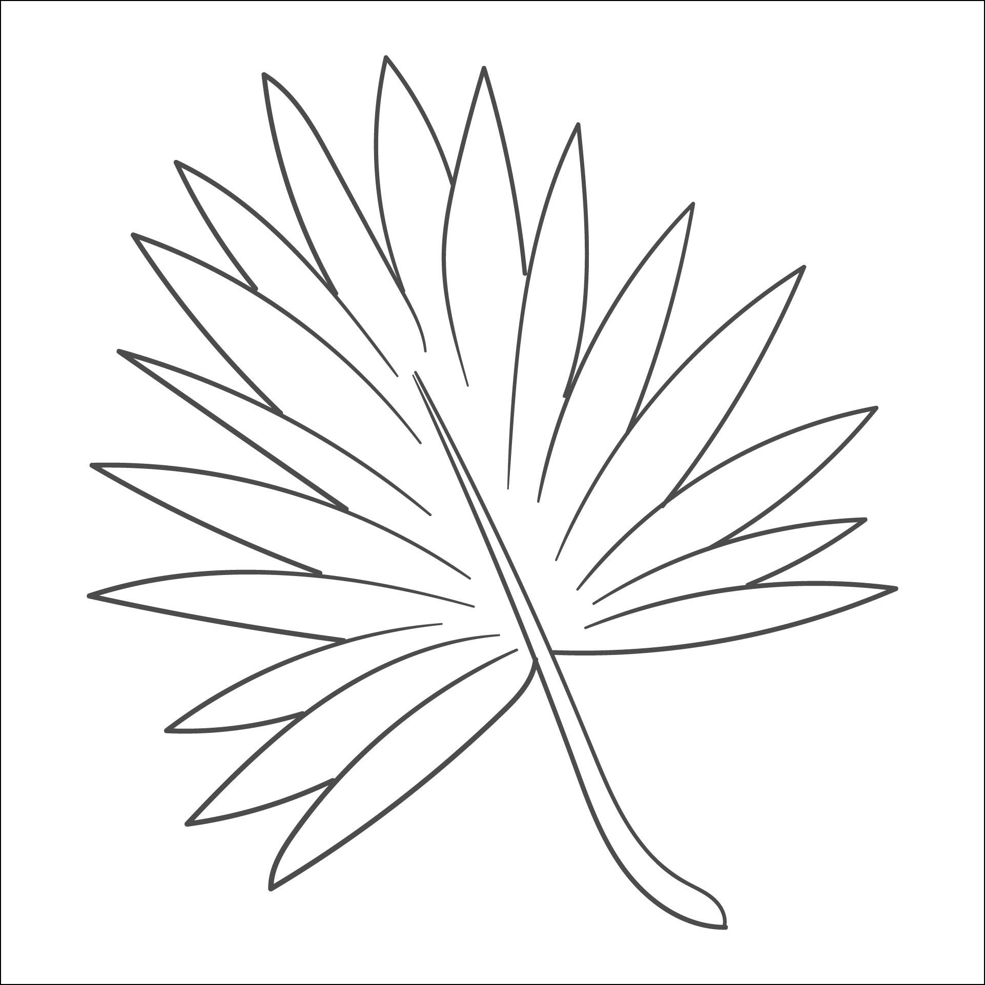 Leaf Template | Free Printable Leaf Outlines For Kids pertaining to Printable Tropical Leaf Template