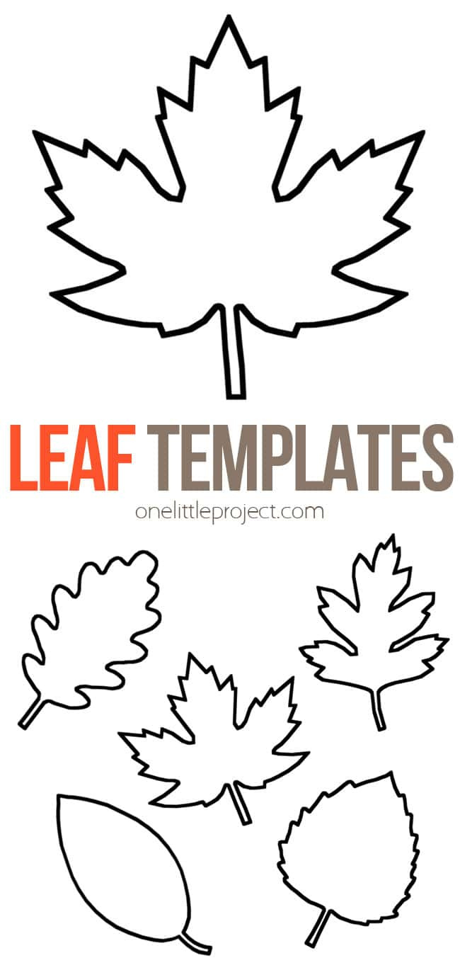Leaf Template | Free Printable Leaf Outlines - One Little Project in Maple Leaf Template Printable