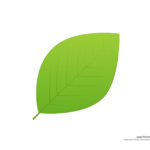 Leaf Templates & Leaf Coloring Pages For Kids | Leaf Printables Throughout Green Leaf Template Printable