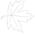 Maple Leaf Template   Weallsew For Large Maple Leaf Template Printable