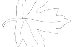 Maple Leaf Template - Weallsew for Large Maple Leaf Template Printable