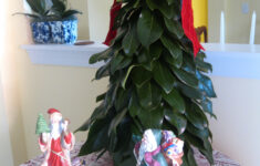 O' Magnolia Tree, O' Magnolia Tree | Georgia &amp; Daughter with Christmas Tree With Magnolia Leaves