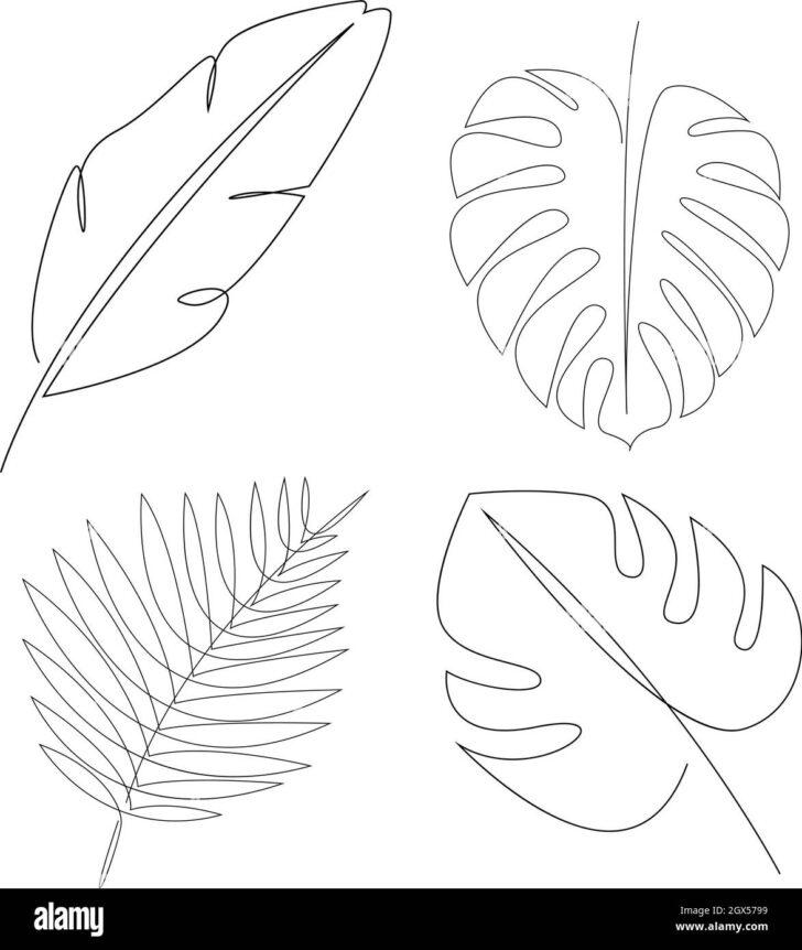 Banana Leaf Template Printable