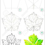Page Shows How To Learn Stepstep To Draw A Grape Leaf Intended For Grape Leaf Template Printable