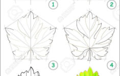 Page Shows How To Learn Stepstep To Draw A Grape Leaf intended for Grape Leaf Template Printable
