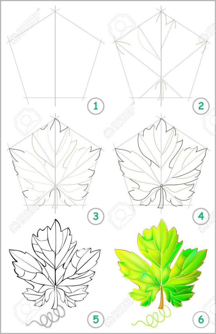 Grape Leaf Template Printable