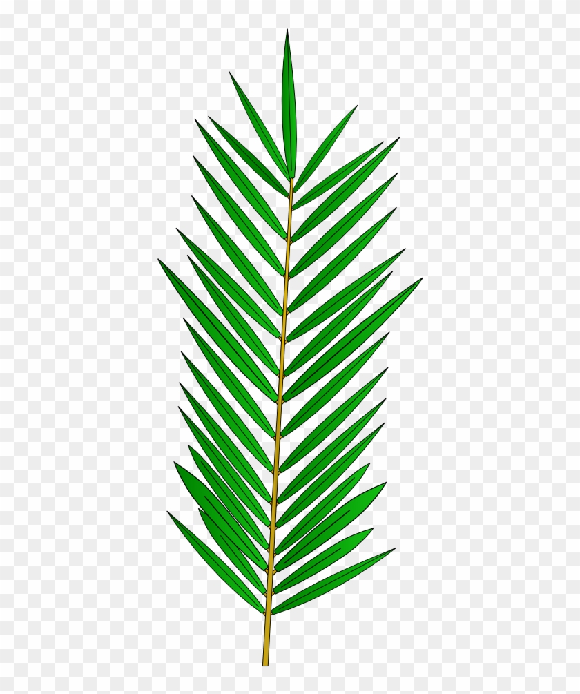 Palm Tree Leaf Template - Palm Tree Leaf Template - Free inside Free Printable Palm Tree Leaf Template