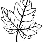 Printable Leaf Outline Templates   Crafty Morning Inside Printable Fall Leaves Outline