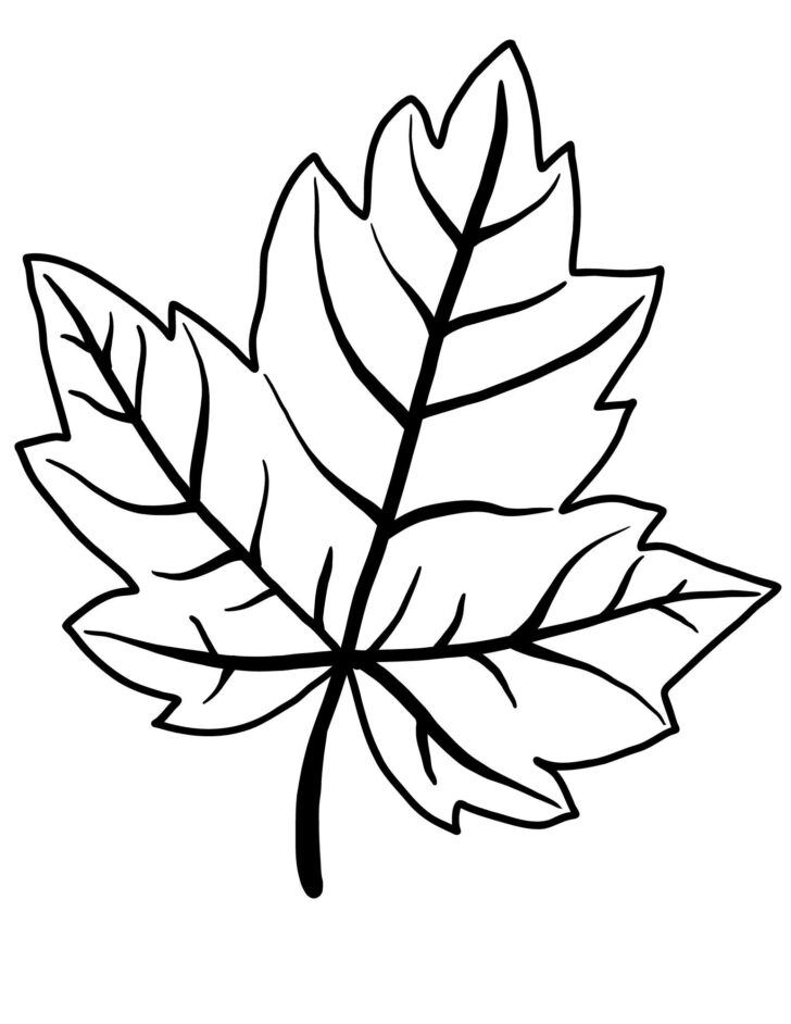 Printable Fall Leaves Outline