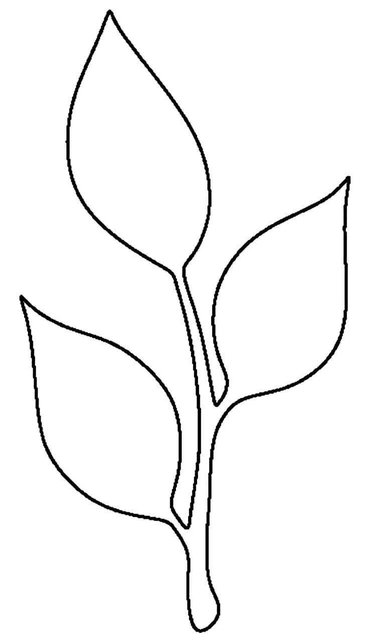 Printable Stem And Leaf Template pertaining to Leaf And Stem Template Printable
