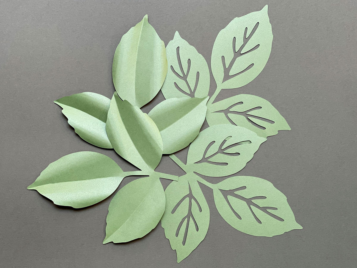 Rose Leaf Template – Paperprotutorials regarding Printable Rose Leaf Template