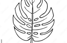 Stock-Vektorgrafik „Monstera Leaf, Outline Floral Hand Drawn intended for Printable Monstera Leaf Template
