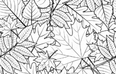 Stock-Vektorgrafik „Vector Autumn Leaves Seamless Pattern. Black in Fall Leaves Printable Black And White