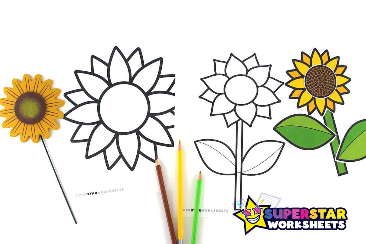 Sunflower Template (Free Printables) - Superstar Worksheets regarding Printable Sunflower Leaf Template