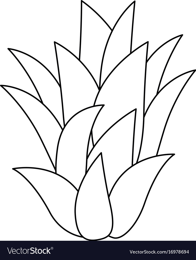 Sweet And Delicious Pineapple Leaves Royalty Free Vector with regard to Printable Pineapple Leaf Template